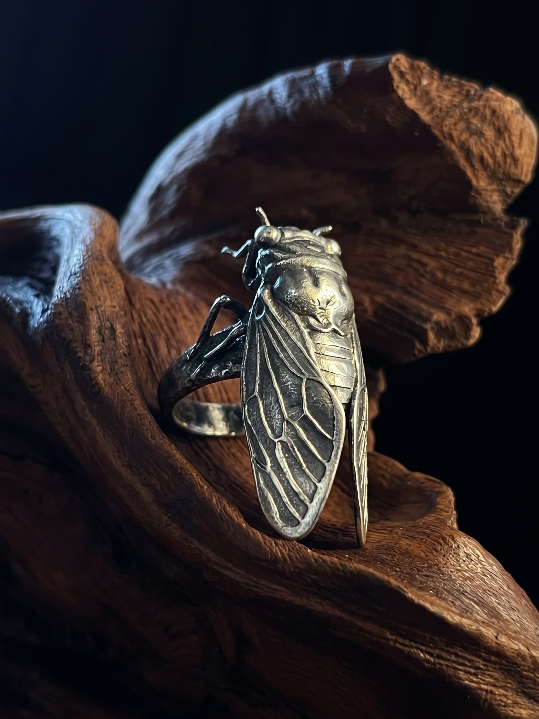 Anillo Cigarra en plata .925
