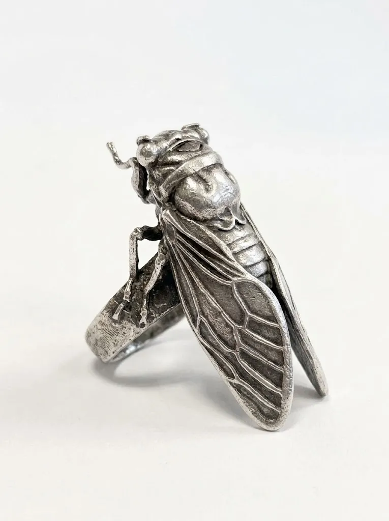 Cigarra